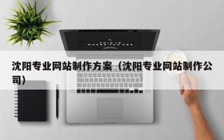 珠海沈阳专业网站制作方案（沈阳专业网站制作公司）